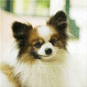 Meet your Posher, Gloria